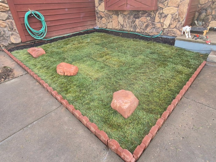 Freshly laid sod bordered by a brick edge, with a hose and stone wall behind
